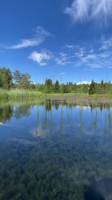 Кристально чистое озеро в Норвегии #норвегия #озеро #п? смотреть онлайн