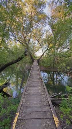 Страшный мост