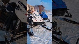 Тунгус 500 или Тунгус 600? Вся правда. #снегоход #irbis #зима #