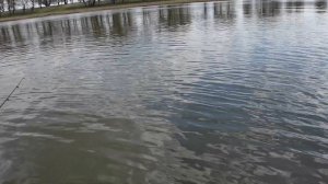 Астрахань,Болхуны 2025 3 часть