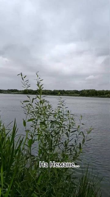 #неман #рыбалка #спиннинг #ветер смотреть онлайн