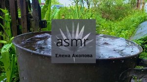 Дождь переполняет ёмкость во дворе. АСМР. Звуки дождя