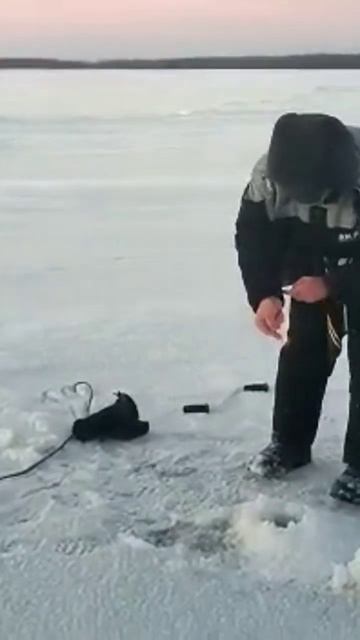 налим из под льда зимой смотреть онлайн