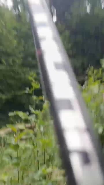 #fishing #поход #trout Из архива 🐟 смотреть онлайн