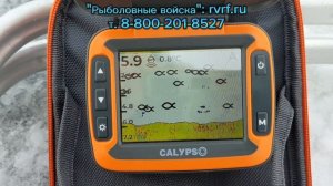 В поисках рыбьей тропы. Тест эхолота Calypso.