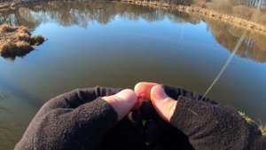 Мормышинг MIFINE Illusion Slash 0.2-0.8, катушка Legency 500. Весенняя ры