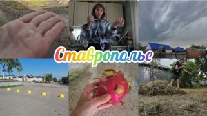 Жизнь в селе.Прошёл град.Пробуем новый фрукт.Обновочки к лету 7.05.2025