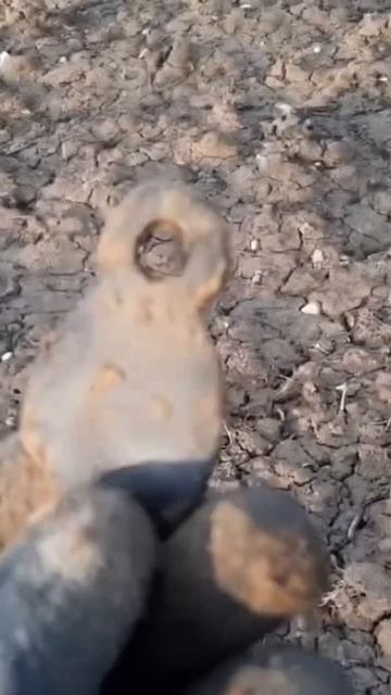 #find #2024 #noktasimplex #находки #metaldetecting #металлокоп #копатн #ко смотреть онлайн