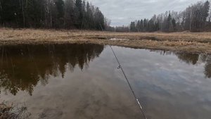 ПЛОТВА КЛЮЕТ - ФРИКЦИОН ПОЕТ! МОРМЫШИНГ ВЕСНОЙ 2025