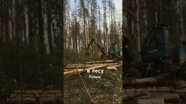 Заготовка леса #рубачи #ручнаярубка #loghomes смотреть онлайн