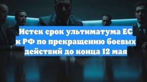Истек срок ультиматума ЕС к РФ по прекращению боевых действий до конца 12 мая
