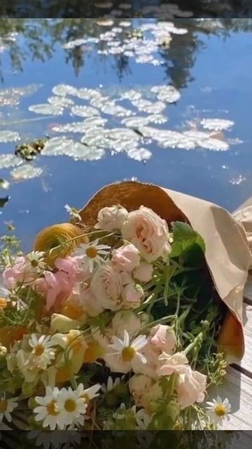 Доброе утро! Хорошего дня и прекрасного настроения! смотреть онлайн