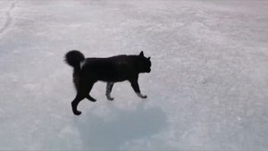 Подледная рыбалка на озере Исинга в Бурятии