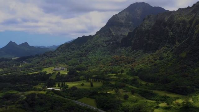 Flying over the forest | Полет над лесом