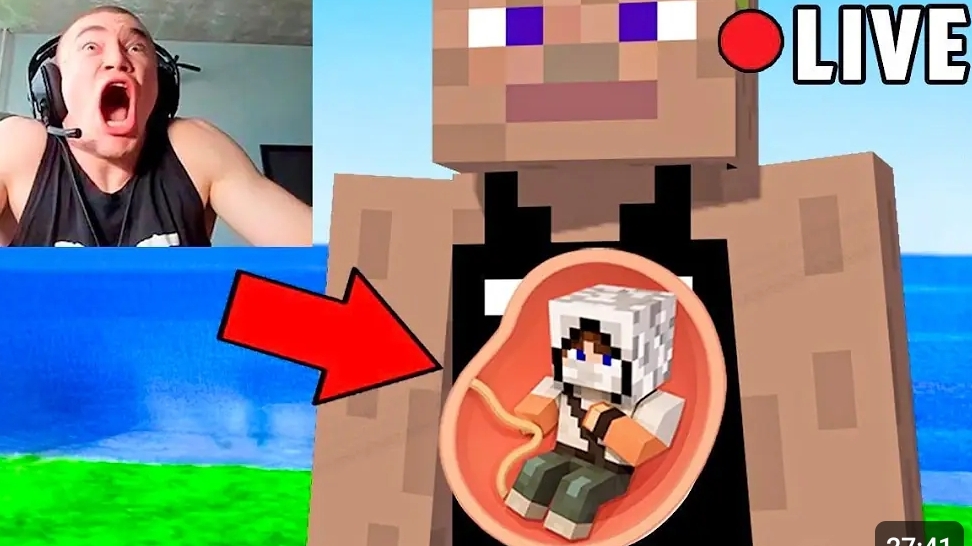 Домер затроллил Стримера МОДОМ НА БЕРЕМЕННОСТЬ в Майнкрафт... смотреть онлайн