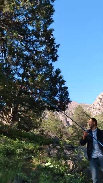 Рыбалка, фарел хороший улов. смотреть онлайн