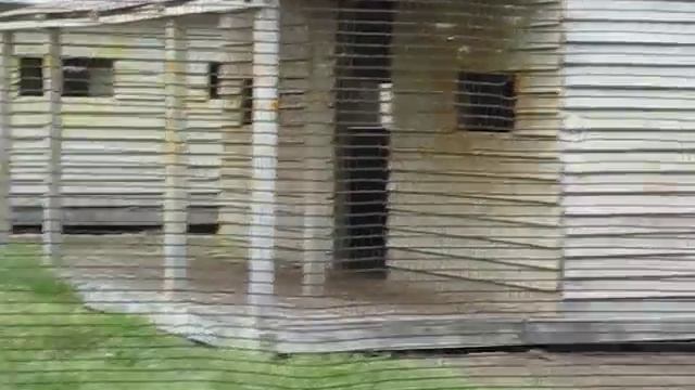 ПЕЙНТБОЛ (Гвардия) смотреть онлайн