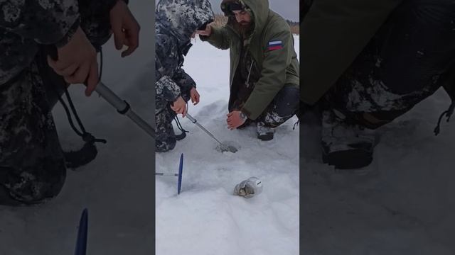 Щука- хорошая поклевка на жерлицу смотреть онлайн