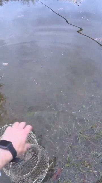 Рыбалка на поплавок, заливное озеро смотреть онлайн