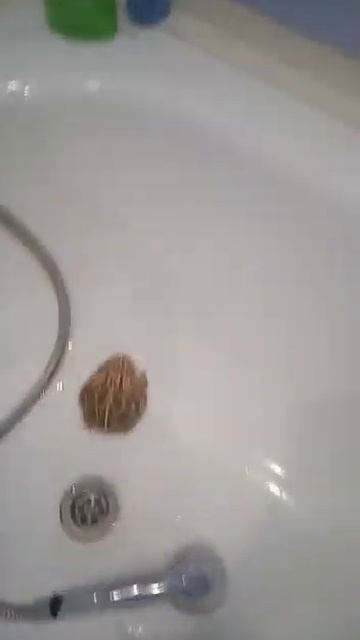 у меня есть лягушка смотреть онлайн