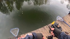 ITC 4 этап командных соревнований. Zetrix bliss, Norstream Troutist-x, С?