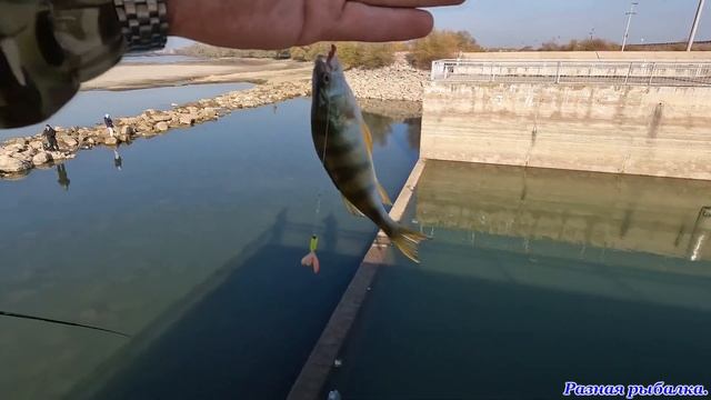Рыбалка на боковой кивок на сбросах Шапсуги. смотреть онлайн