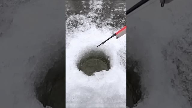 Рыбалка на первом льду часть3. #рыбалка #рекомендации #f смотреть онлайн