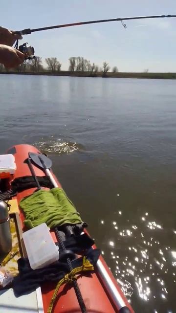 рыбалка Астрахань 2024 смотреть онлайн