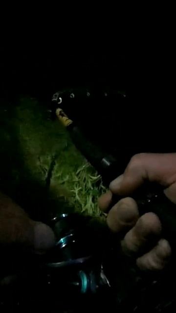 ДУМАЛ АМУР💪А ЗАБАГРИЛСЯ КРУПНЫЙ КАРП. НО ВСЕ РАВНО, М? смотреть онлайн