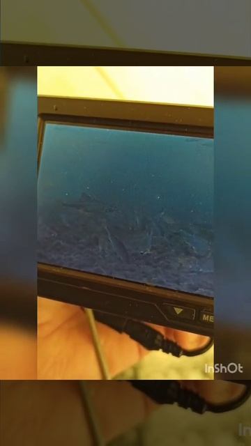 Подледная сьемка. озеро Большое. Шарыповский р-н смотреть онлайн