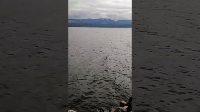 Остров Риж. Озеро Имандра. 13.07.2019. смотреть онлайн