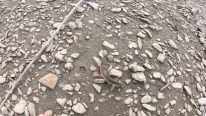 Речка "Оя". Небольшая рыбалка