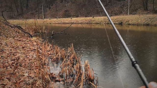 Микроджиг Зимой. На Эту Проводку Клюёт Крупный Окунь! смотреть онлайн