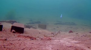 ECOPRO Nemo Slim. Ловит всех: судак, окунь, форель. Широкая лин?