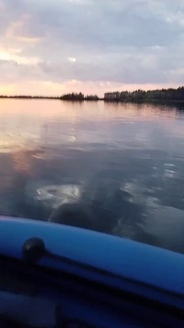 KittBoats390 Gladiator9.9prо Саратов (р-н Усовки) смотреть онлайн