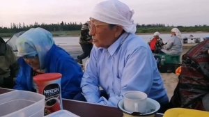 Тэйэр Хайа туһунан Харитонова Елена Петровна кэпсиирин истиҥ!