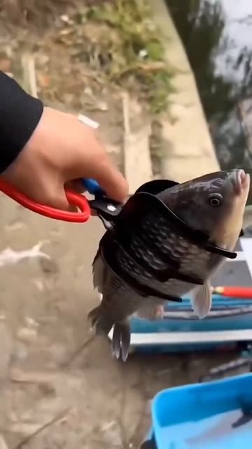 Вот так приспособа! Годно или баловство?Посмотреть на? смотреть онлайн