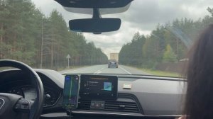 Красивая дорога в лесу