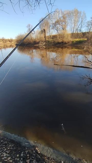 #омск #омскаяобласть #сибирь #рыбалка #спиннинг #щука #fi смотреть онлайн