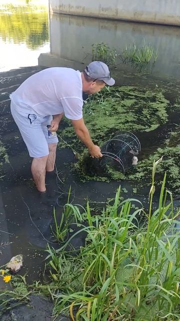 #рр4 #fishing #срочныеновости #новости #позитив #жизньвдере смотреть онлайн