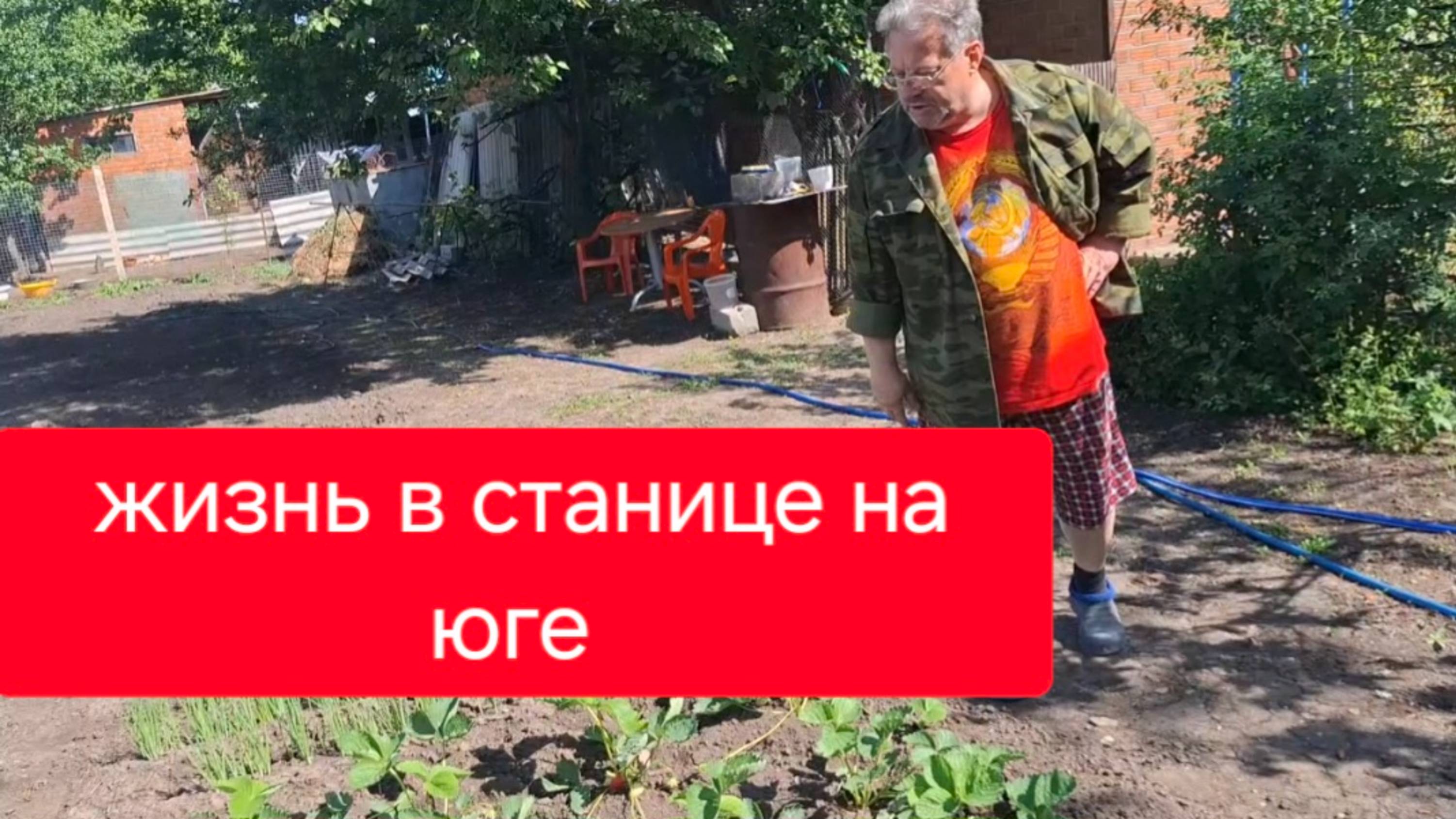 474 🏠 Купили дом в станице. Первые заготовки на зиму.Зачем нам реклама.Кругом Тля.