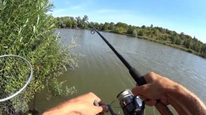 ТРОФЕЙНАЯ рыбалка на КАРПА. КАК ловить карпа на ИЛЕ? Ло