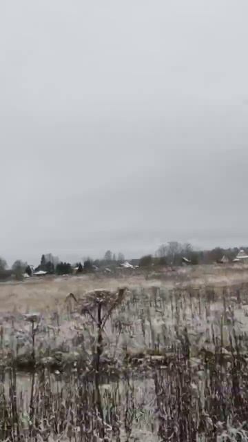 Борщевик под снегом смотреть онлайн