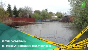 Жители Синеглазово и соседних СНТ тонут вместе с домами