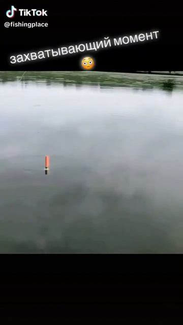 захватывающий момент на рыбалке смотреть онлайн