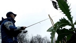 По малым рекам, Ярославской области. В поисках новых и