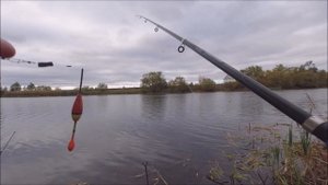 Осенняя Рыбалка на ХИЩНИКА - щука , окунь .