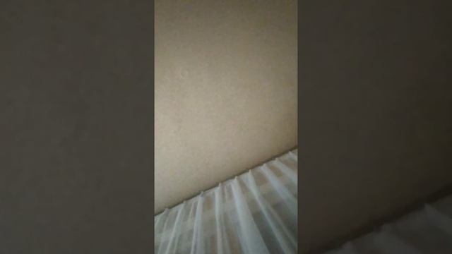 Муж проводит ревизию в холодильнике. Он не знал, что я ? смотреть онлайн