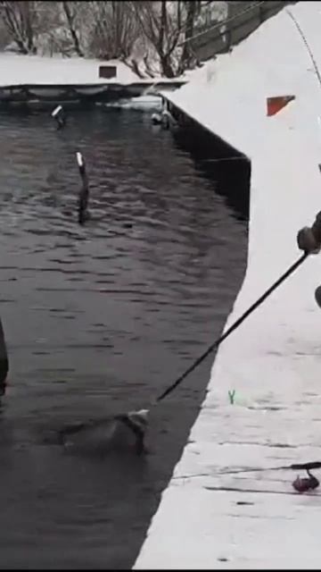 рыбацкий кордон 2 декабря смотреть онлайн