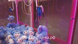 Хватай-ка - призовой развлекательный аттракцион